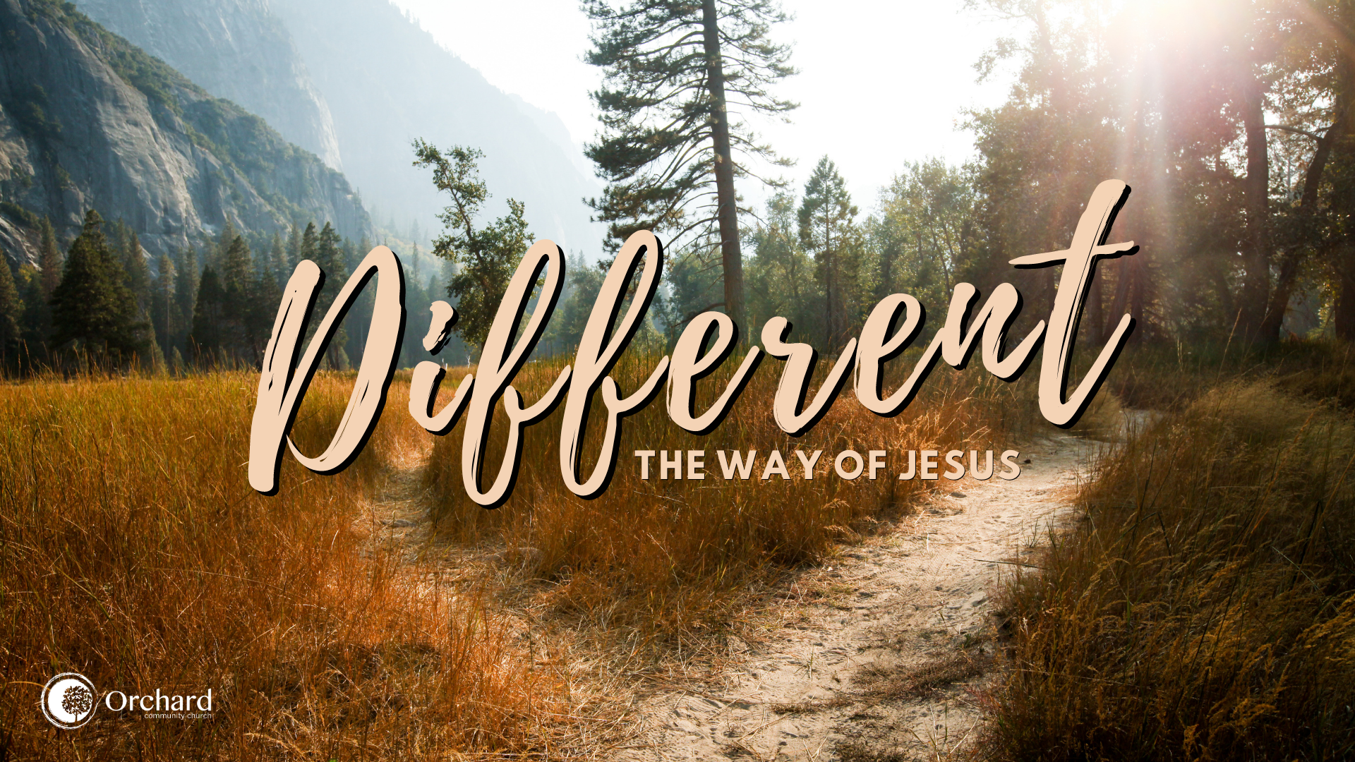Different: The Way of Jesus